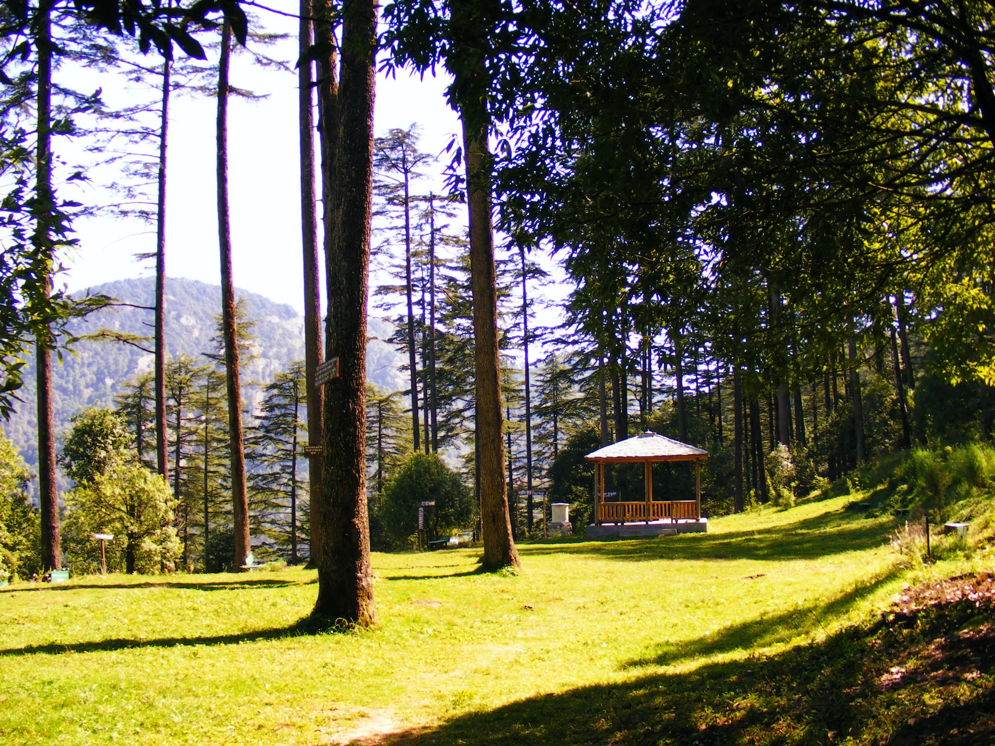Dhanaulti — Dhanaulti 2